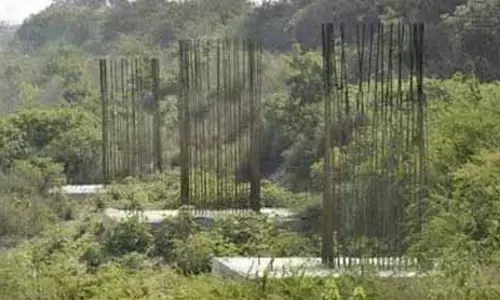 Delhi-Noida लिंक रोड पर चिल्ला एलिवेटेड रोड का काम जनवरी में होगा शुरू