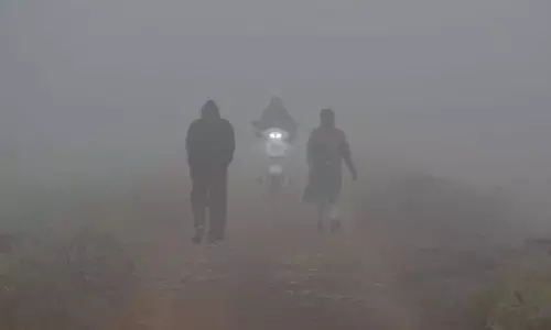 Odisha के चार जिलों में घने कोहरे की चेतावनी जारी