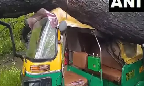 Mehrauli में बारिश के कारण एक ऑटो पर पेड़ गिरा, कोई हताहत नहीं Mehrauli में बारिश के कारण एक ऑटो पर पेड़ गिरा, कोई हताहत नहीं