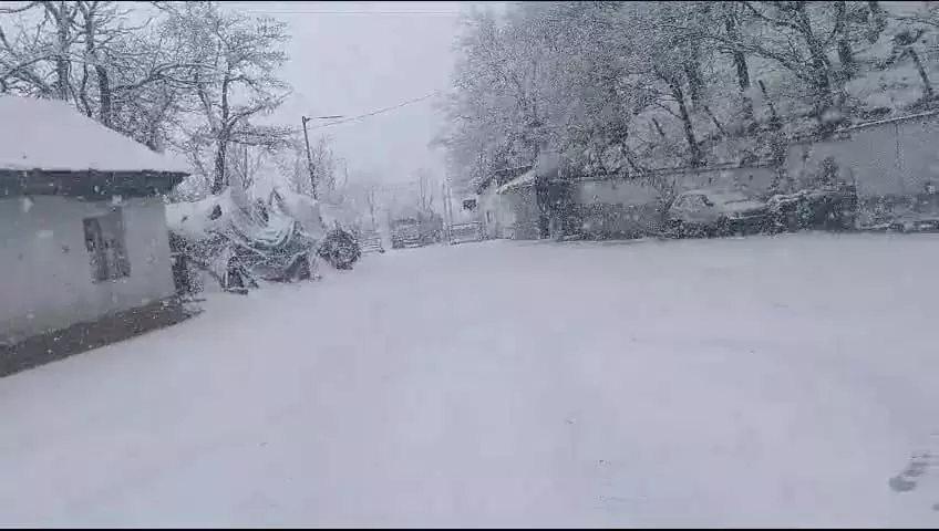 दक्षिण कश्मीर के Pulwama-Shopian जिले बर्फ की चादर में लिपटे