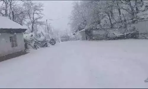 दक्षिण कश्मीर के पुलवामा और शोपियां जिले बर्फ की चादर में लिपटे
