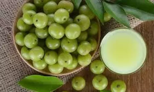 Health:  हर रोज पिएं आंवले का जूस , जानें इस प्राकृतिक ड्रिंक को पीने से सेहत पर क्या असर पड़ता है