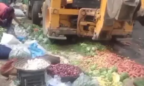निगम कर्मी की नौकरी गई, सब्जियों पर बुलडोजर चलवाने का मामला
