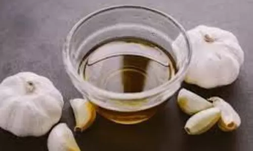 Garlic Oil: त्वचा और बालों के लिए वरदान है लहसुन का तेल, जानें इसके फायदे