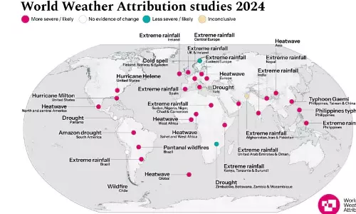 मानव प्रभाव उजागर: 2024 में 41 दिनों की खतरनाक गर्मी जलवायु परिवर्तन से जुड़ी मानव प्रभाव उजागर: 2024 में 41 दिनों की खतरनाक गर्मी जलवायु परिवर्तन से जुड़ी