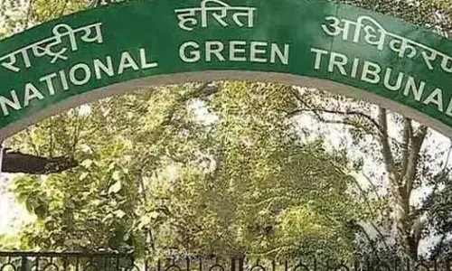 NGT ने क्षतिग्रस्त सौर पैनलों के निपटान पर केंद्र सरकार से सवाल पूछे