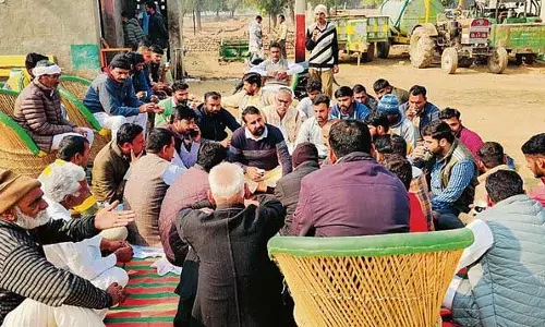 Haryana : काले हिरण के शिकार मामले में मुख्य आरोपी गिरफ्तार