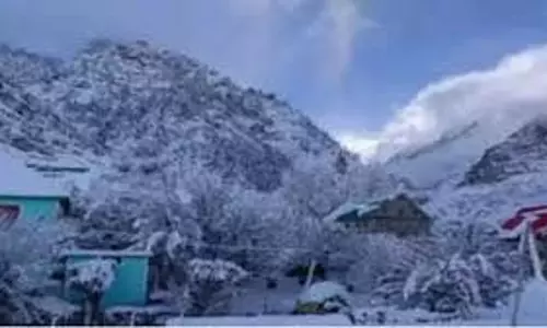 Uttarakhand में आज कोल्ड डे का अलर्ट जारी, इन जिलों में जमकर होगी बर्फबारी