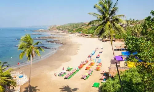 नए साल का जश्न मनाने के लिए Goa के समुद्र तटों पर उमड़े पर्यटक नए साल का जश्न मनाने के लिए Goa के समुद्र तटों पर उमड़े पर्यटक