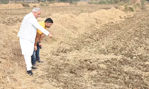 भूपेश बघेल ने कुरूदडीह में खेतों का किया भ्रमण