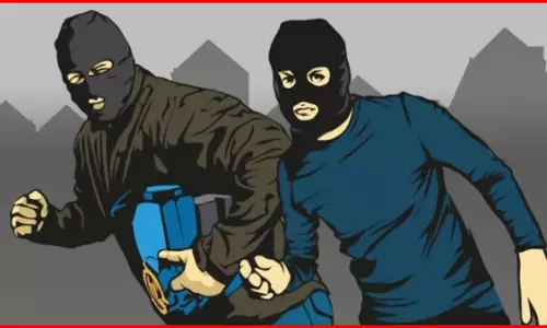 दो जुड़वा भाई निकले चोर, मचा रखा था आतंक, इनका प्लान जानकर पुलिस के भी उड़े होश