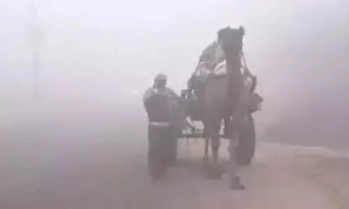 Sirohi बदला मौसम का मिजाज, कोहरे से ढकी माउंट आबू की वादियां