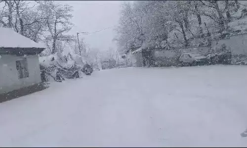दक्षिण कश्मीर के Pulwama-Shopian जिले बर्फ की चादर में लिपटे