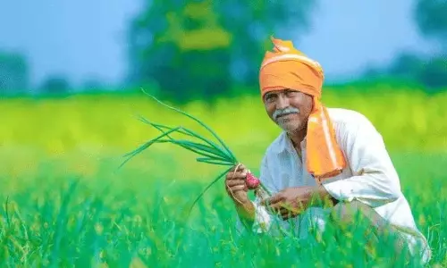 UP: किसानों को जागरूक करने सहित पंजीयन कराने की अंतिम तिथि 31 दिसंबर तय