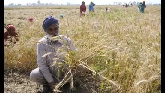 Punjab आजीविका को बनाए रखने के लिए भूमि अधिग्रहण को लक्ष्य बनाया गया