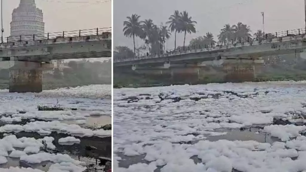 Alandi: हिमालय की एक नदी या इंद्रायणी? मानव सहित जीव जंतु का स्वास्थ्य खतरे में