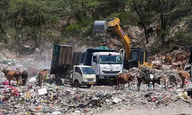 Jhuriwala ने पंचकूला को निराश कर रखा