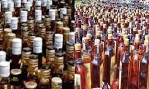 Bihar News: नए साल के जश्न के लिए  ट्रकों पर लोड विदेशी शराब जब्त