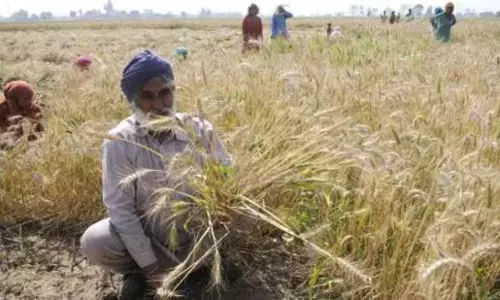 Punjab आजीविका को बनाए रखने के लिए भूमि अधिग्रहण को लक्ष्य बनाया गया
