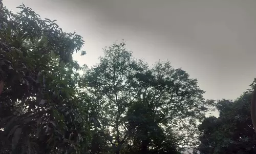 नए साल में शीतलहर का अलर्ट
