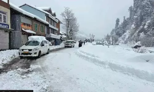 दक्षिण कश्मीर में भारी बर्फबारी से सबसे ज्यादा नुकसान