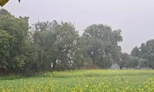 MP: पूरे जिले में औसत 0.5 इंच बारिश दर्ज, जबकि कुल 4.2 इंच बारिश हुई
