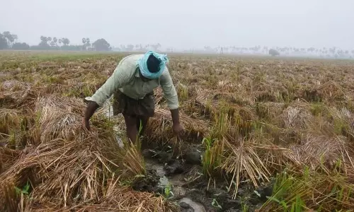 Odisha में फसल नुकसान से दो और किसानों की मौत