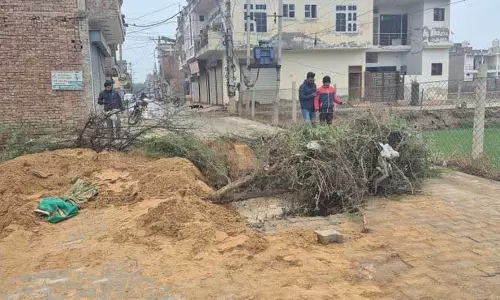 Haryana : सिरसा की नवनिर्मित सड़कों को पहली बारिश में भारी नुकसान Haryana : सिरसा की नवनिर्मित सड़कों को पहली बारिश में भारी नुकसान