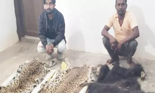 हाथी दांत और तेंदुआ-भालू के खाल बेचते 5 गिरफ्तार, वन विभाग ने की कार्रवाई