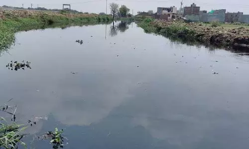 Haryana : सिंचाई जल में जैव-रासायनिक ऑक्सीजन मांग का स्तर खतरनाक स्तर पर पहुंच गया