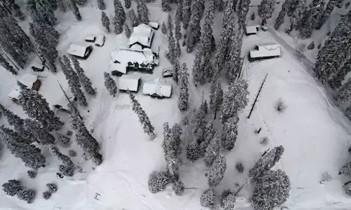 नए साल का जश्न मनाने Kashmir पहुंचे पर्यटकों को बर्फबारी ने खुश कर दिया