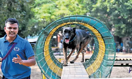Bhubaneswar: ओडिशा अग्निशमन सेवा ने श्वान दस्ते को शामिल किया Bhubaneswar: ओडिशा अग्निशमन सेवा ने श्वान दस्ते को शामिल किया
