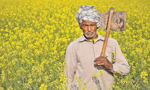 Bhubaneswar: ओडिशा सरकार कृषक आईडी किसान पंजीकरण शुरू करेगी