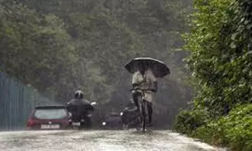 Weather : राजस्थान के कुछ स्थानों पर हल्की बारिश, जमा घना कोहरा