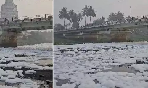 Alandi: हिमालय की एक नदी या इंद्रायणी? मानव सहित जीव जंतु का स्वास्थ्य खतरे में Alandi: हिमालय की एक नदी या इंद्रायणी? मानव सहित जीव जंतु का स्वास्थ्य खतरे में