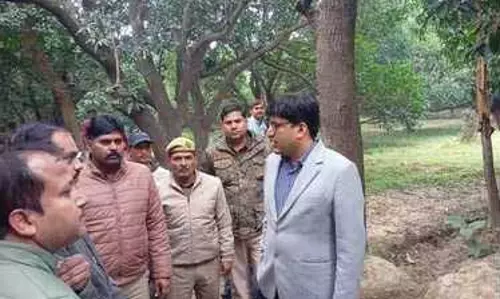 Rehmankheda: बाघ के पंजों के निशानों का पीछा कर रहे वन कर्मचारी