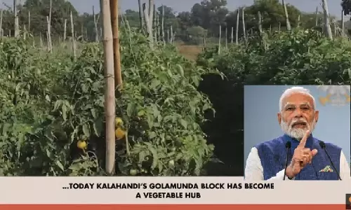PM Modi ने सब्जी क्रांति के लिए ओडिशा के कालाहांडी के गोलामुंडा ब्लॉक के किसानों की सराहना की