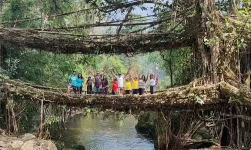 Meghalaya के जीवित जड़ पुल परंपरा और जैव इंजीनियरिंग का चमत्कार