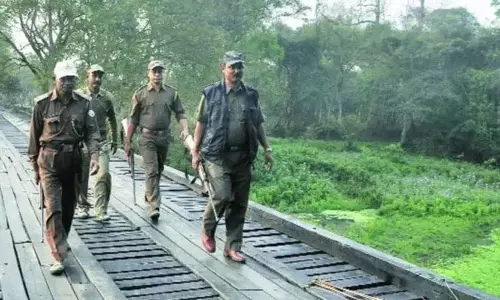 Pimpri: प्रकृति प्रेमी और वनकर्मी घोरावडेश्वर पर्वतीय क्षेत्र में करेंगे गश्त Pimpri: प्रकृति प्रेमी और वनकर्मी घोरावडेश्वर पर्वतीय क्षेत्र में करेंगे गश्त
