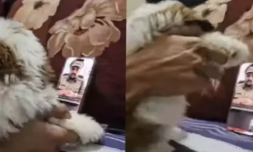 VIDEO: पुलिस की वर्दी पहने ठग ने शख्स को Digital Arrest करने की कोशिश की फिर जो हुआ...