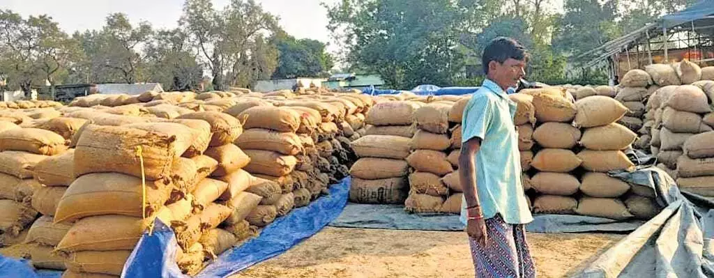 Tamil Nadu : डेल्टा के किसानों ने धान खरीद नीति की मांग की