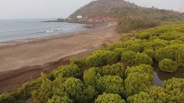 तटीय लचीलापन बनाने की Karnataka की महत्वाकांक्षी परियोजना शुरू होने को तैयार