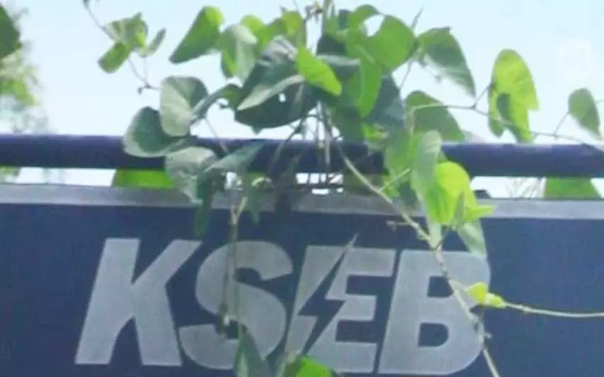 Kerala : KSEB कर्मचारी आज देशव्यापी एक घंटे की हड़ताल में शामिल होंगे Kerala : KSEB कर्मचारी आज देशव्यापी एक घंटे की हड़ताल में शामिल होंगे