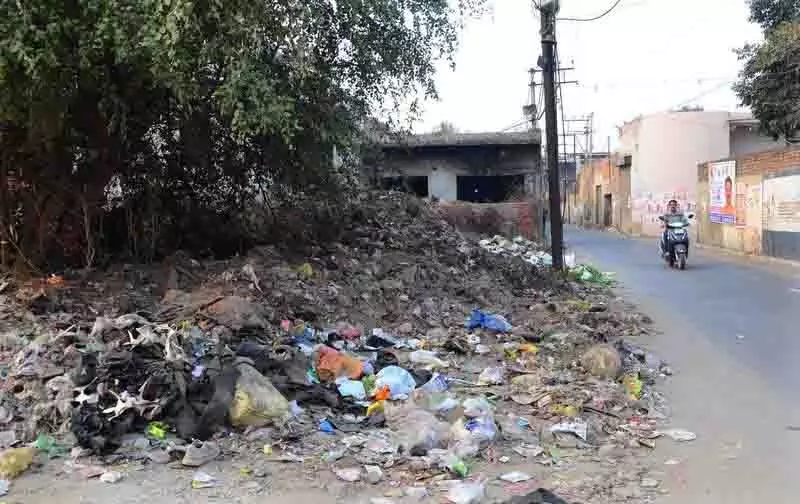 Jalandhar के नए मेयर कूड़े की समस्या का समाधान करेंगे