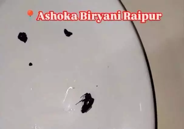 Raipur Breaking: अशोका बिरयानी के खाने में निकला कॉकरोच, ग्राहक ने मचाया हंगामा