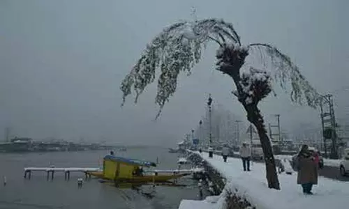 Kashmir में इस सप्ताह शीत लहर, अधिक बर्फबारी की आशंका