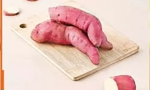 Recipe:सर्दियों में शकरकंद से बनाएं ये टेस्टी चीजें, सेहत के लिए भी है फायदेमंद
