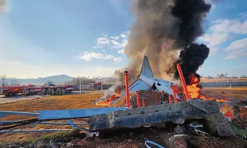 दक्षिण कोरियाई विमान रनवे से आगे निकलकर दुर्घटनाग्रस्त, 179 लोगों की मौत