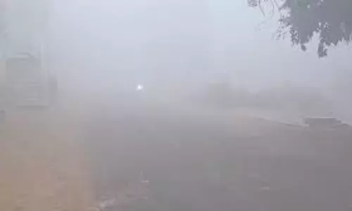 UP Winter Weather: कड़ाके की ठंड के बीच घना कोहरा, अलर्ट जारी