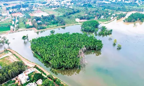 Karnataka: पुनर्जीवित डोड्डागुब्बी झील ने बोरवेलों को फिर से जीवन दिया Karnataka: पुनर्जीवित डोड्डागुब्बी झील ने बोरवेलों को फिर से जीवन दिया